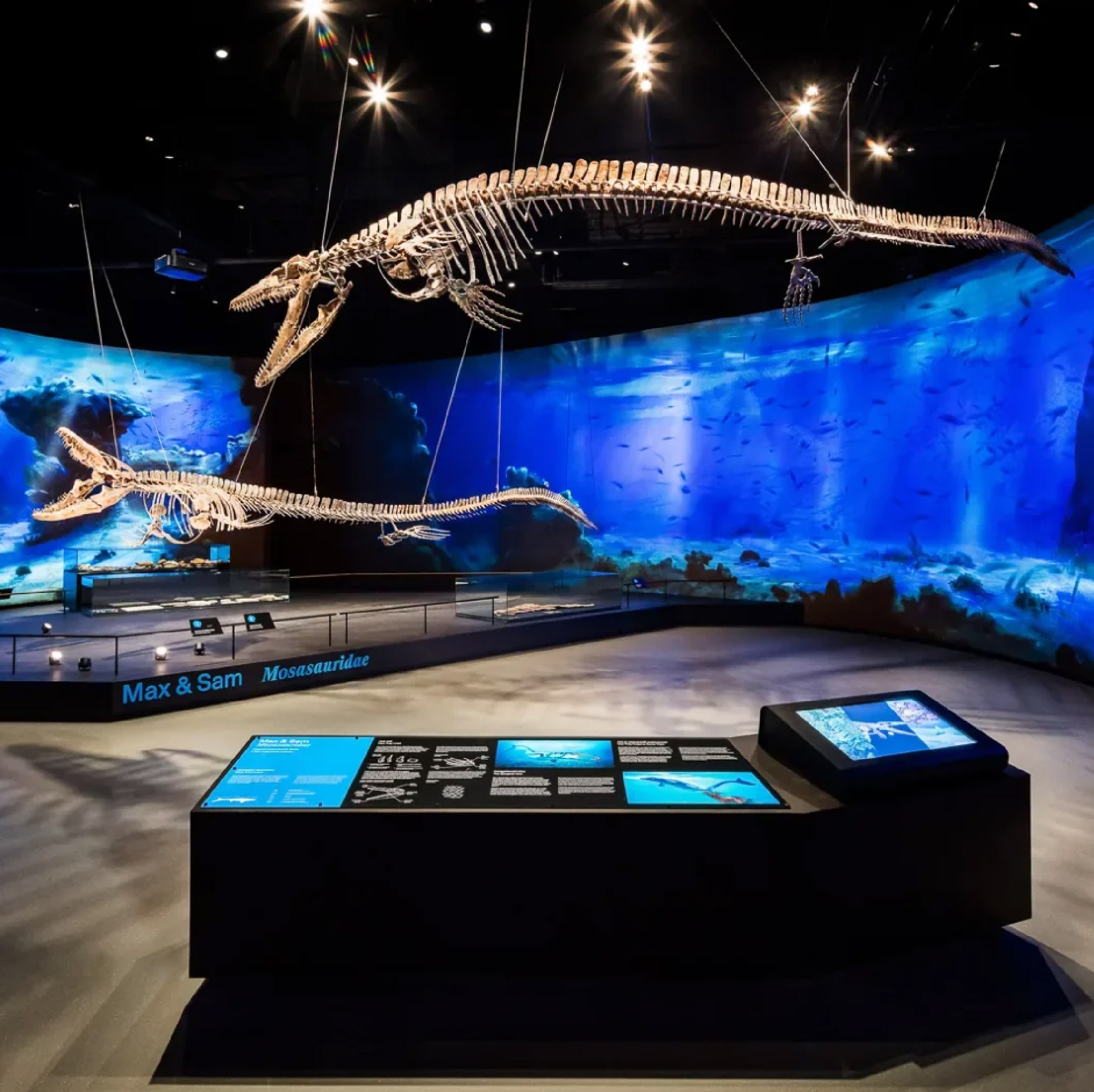 Dinosauria Museum Prague by Archicraft featuring suspended marine reptile skeletons against a panoramic blue underwater projection, with interactive exhibits and illuminated display panels.